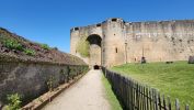 PICTURES/France - Sedan Castle/t_Towers7.jpg